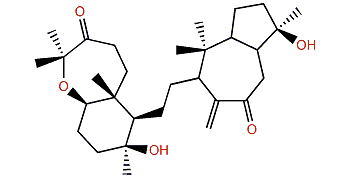 Sipholenone C